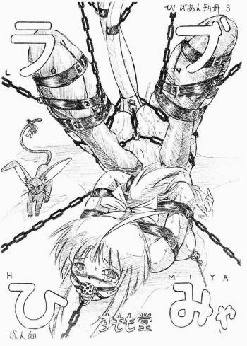 Bibi Anbetsu 03 cover