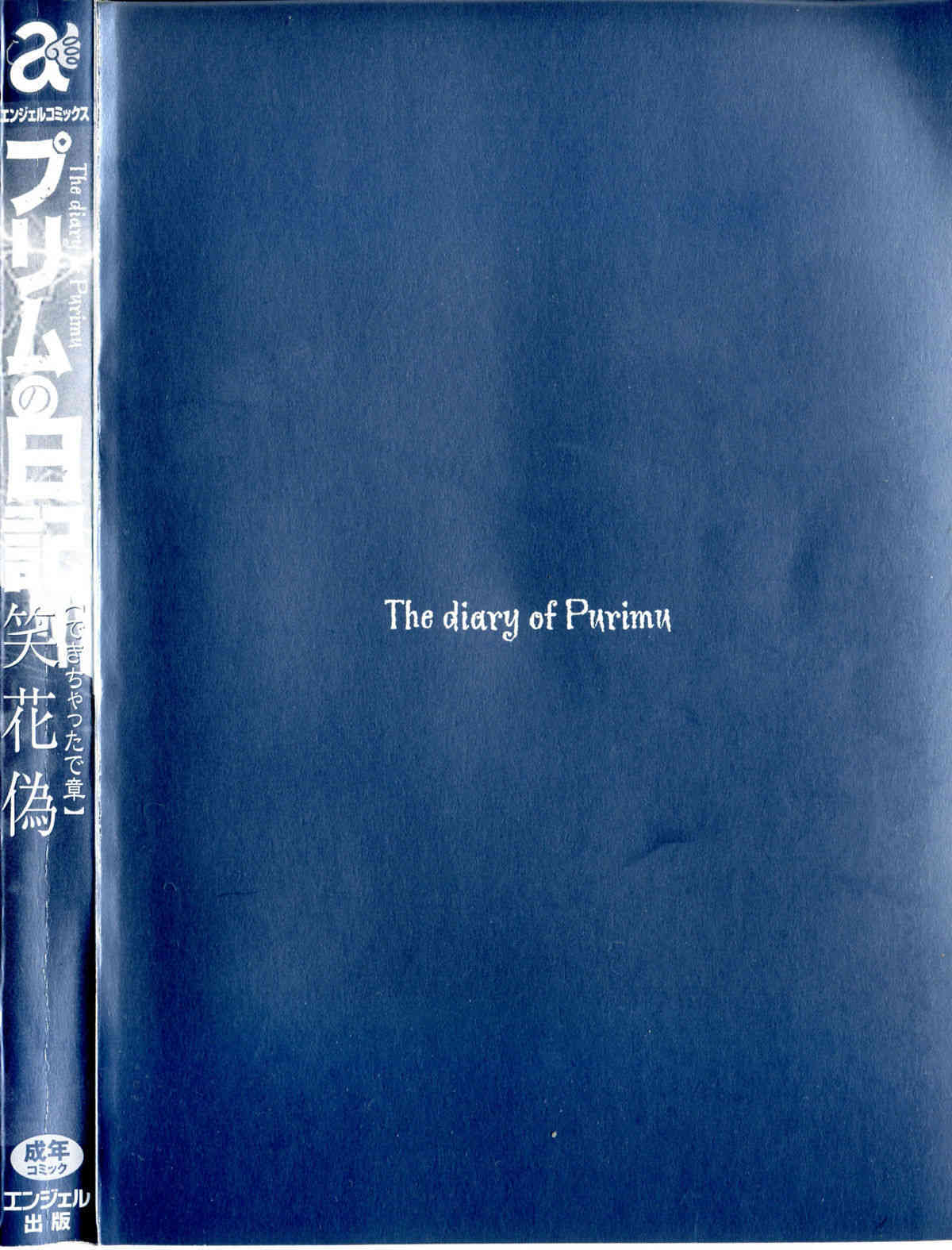 Prim Diary Dashichatta Volume 2 page 4 full