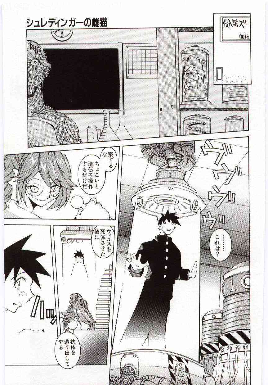 VIDE page 8 full