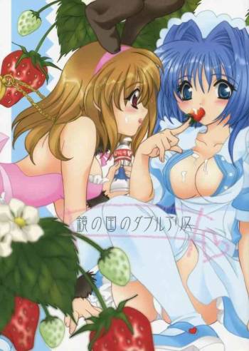 Kagami no Kuni no Double Alice cover