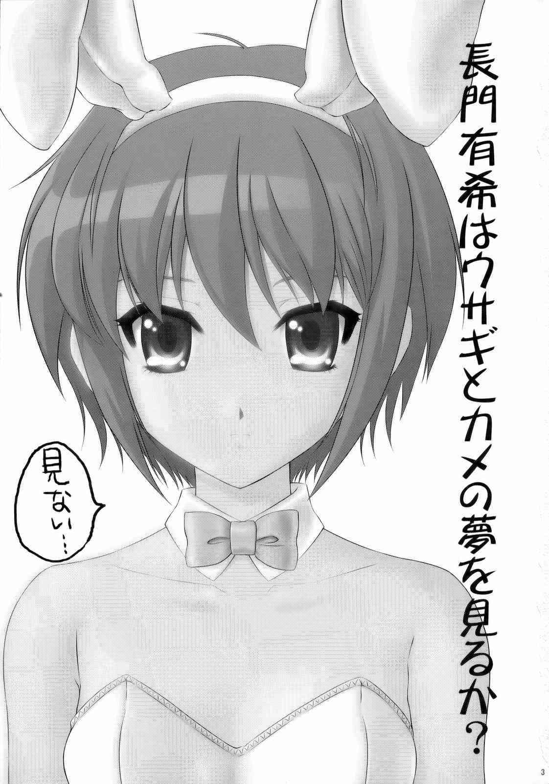 Nagato Yuki wa Usagi to Kame no Yume o Miru ka? page 2 full