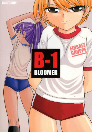 B-1 BLOOMER cover