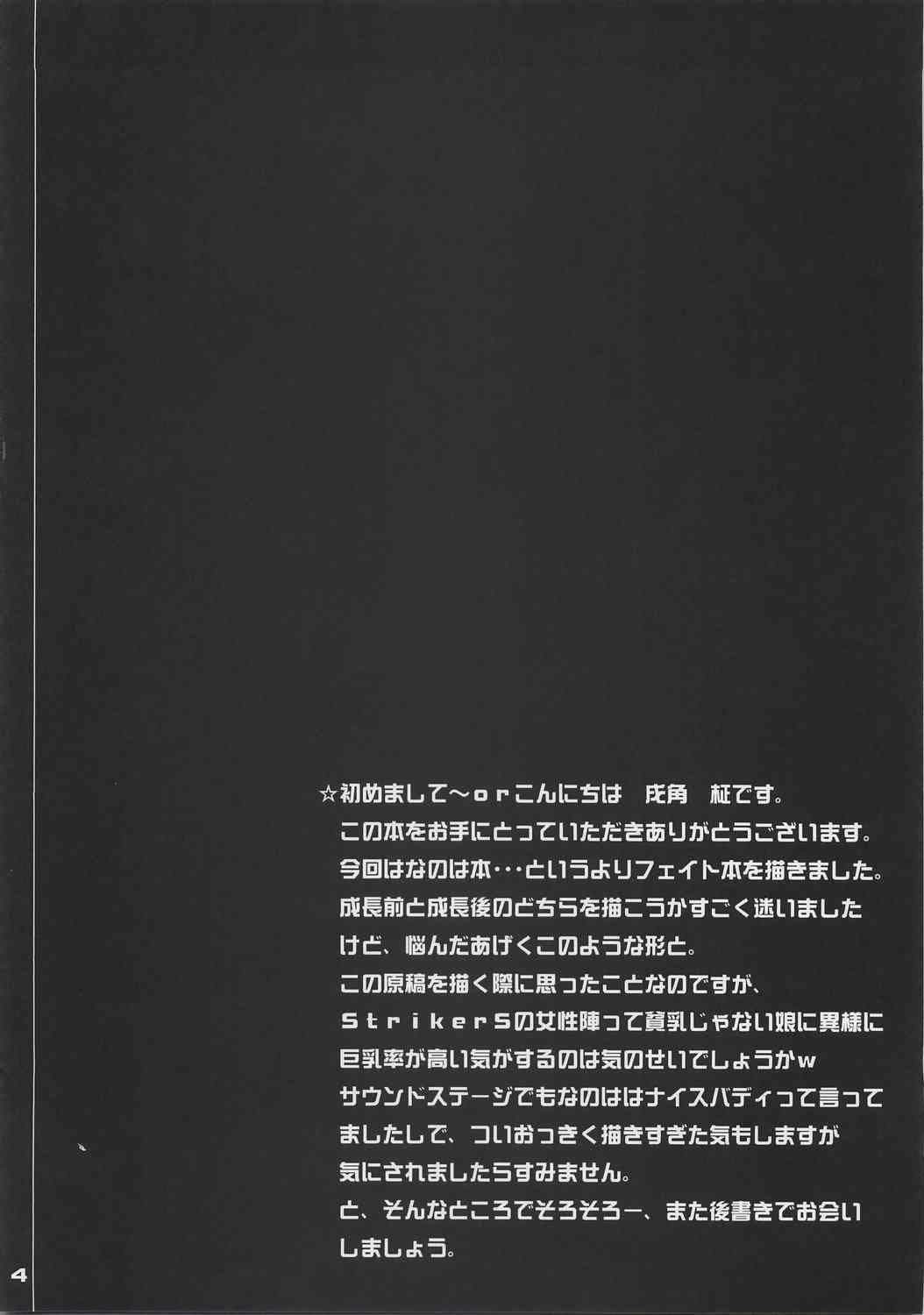 Otona na Fate no hon page 3 full