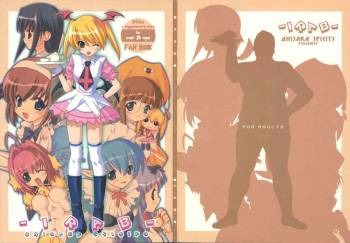 IRAB cover