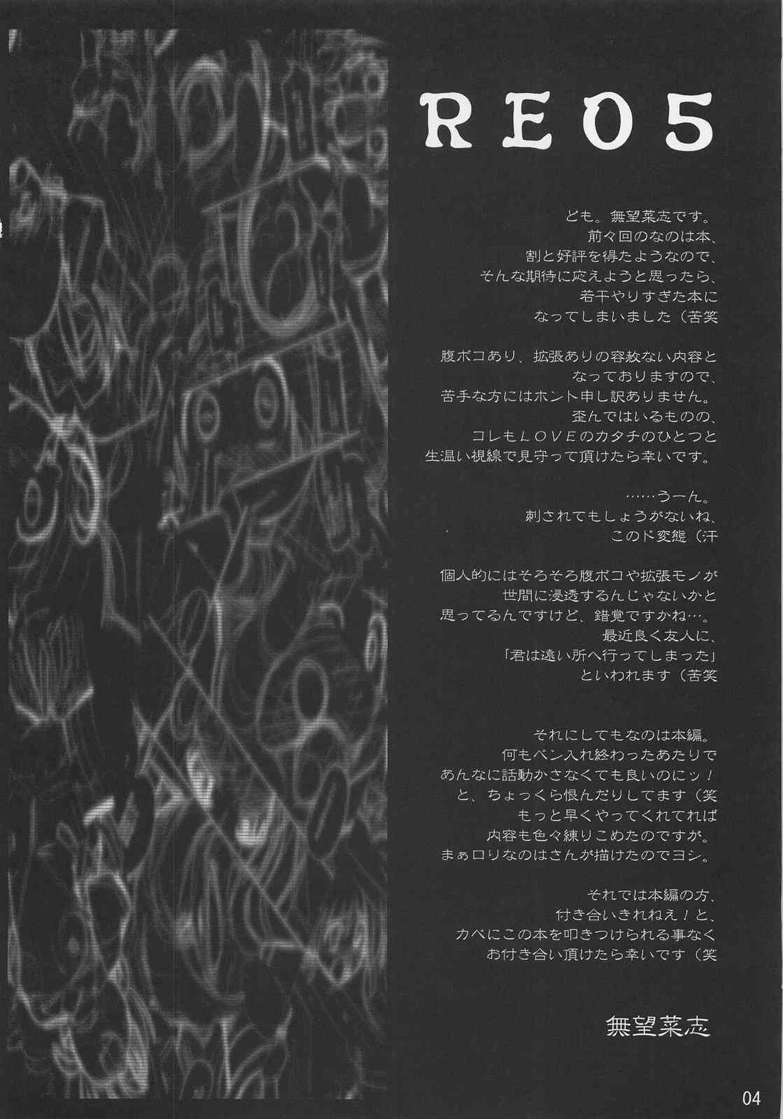 RE 05 page 3 full