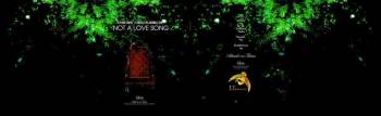 Not a Love Song 1 cover
