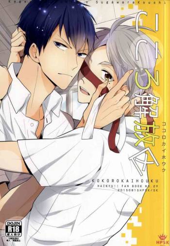 Kokorokaihouku cover