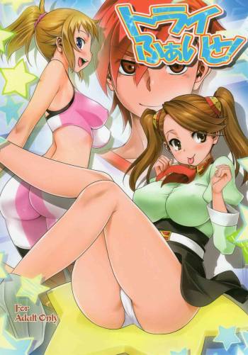 Try Fight! cover