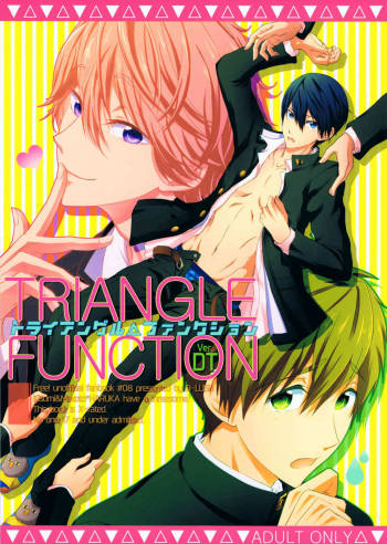 TRIANGLE FUNCTION ver. DT cover