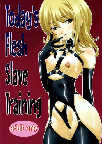 Honjitsu no Nikudorei Choukyou | Today's Flesh Slave Training cover