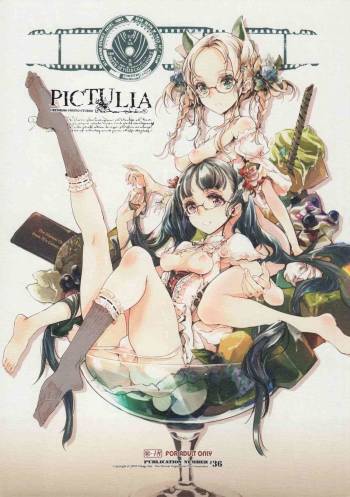 pictulia + 4P Leaflet cover