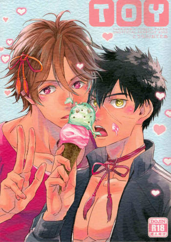 TOY cover