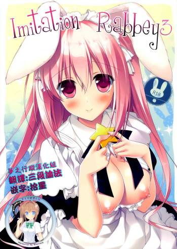 Imitation Rabbey 3 cover