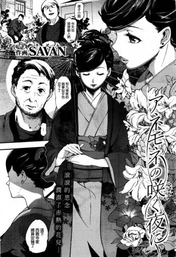 Anemone no Saku Yoru ni cover