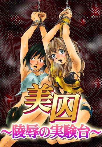 Bishuu III ~Ryoujoku no Jikkendai~ cover