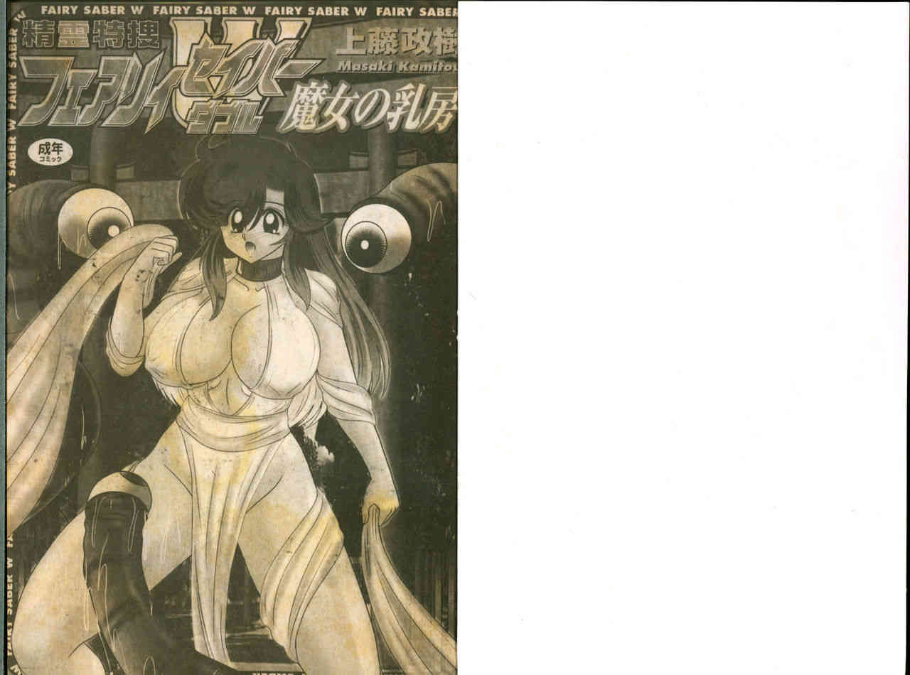 Seirei Tokusou Fairy Saber W Majo no Chibusa page 2 full
