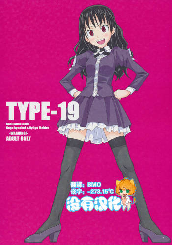 TYPE-19 cover