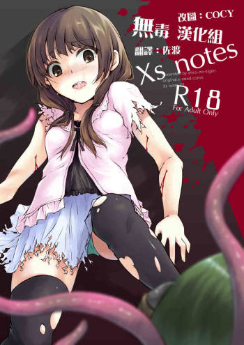 Xs Notes cover