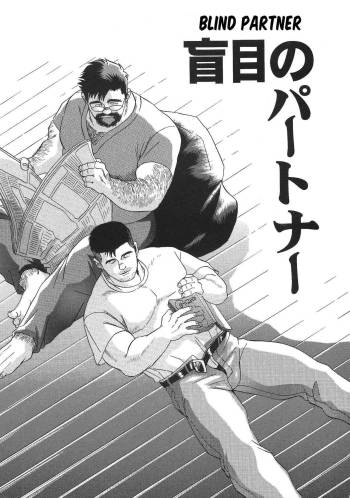 Blind Partner cover
