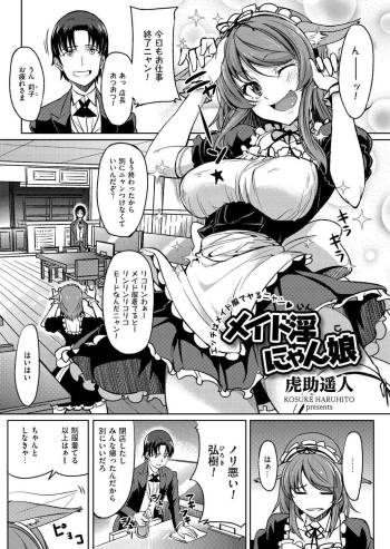 Maid In Nyanko cover