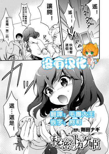 Himitsu no Tokage Hime cover