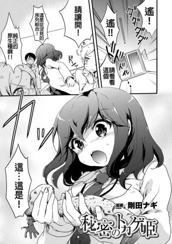 Himitsu no Tokage Hime cover