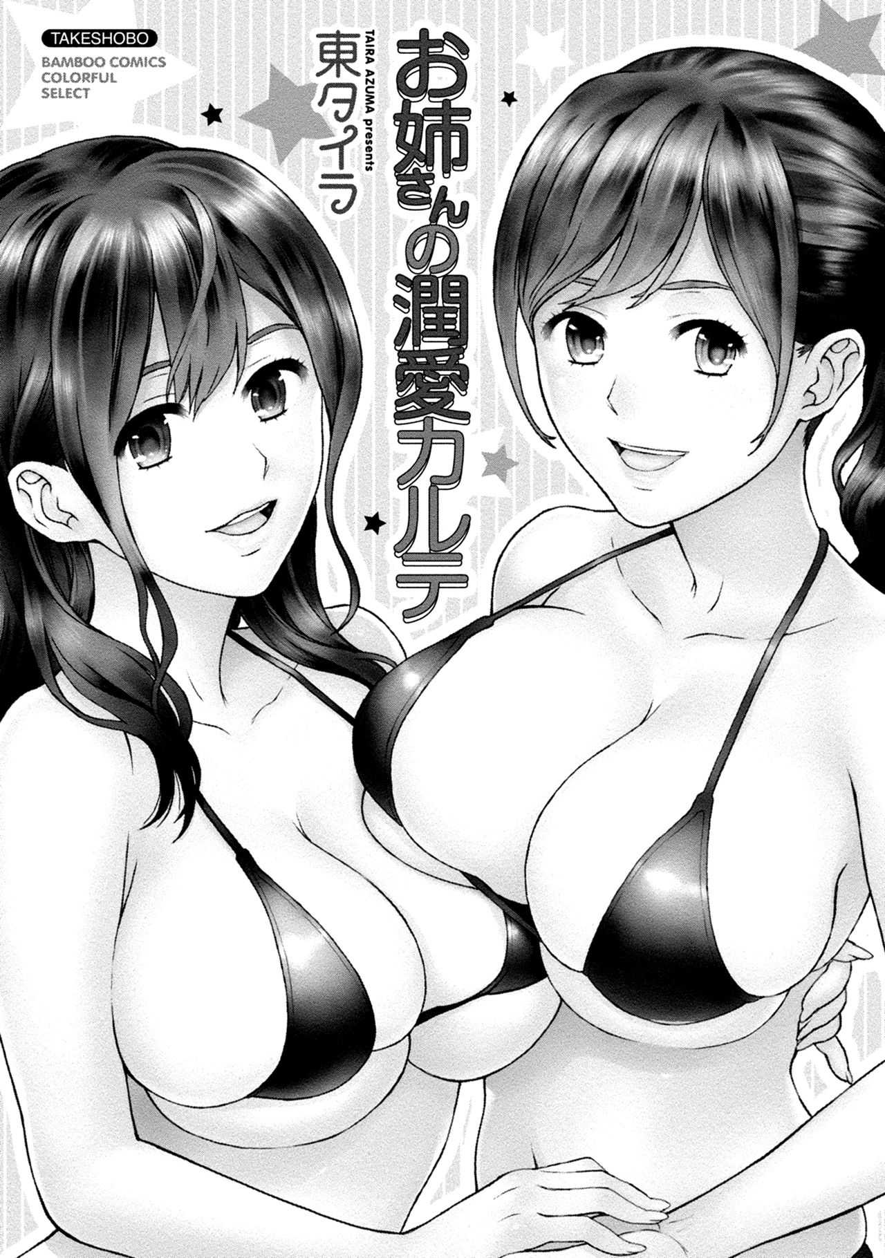 Onee-san no Junai Karte page 3 full