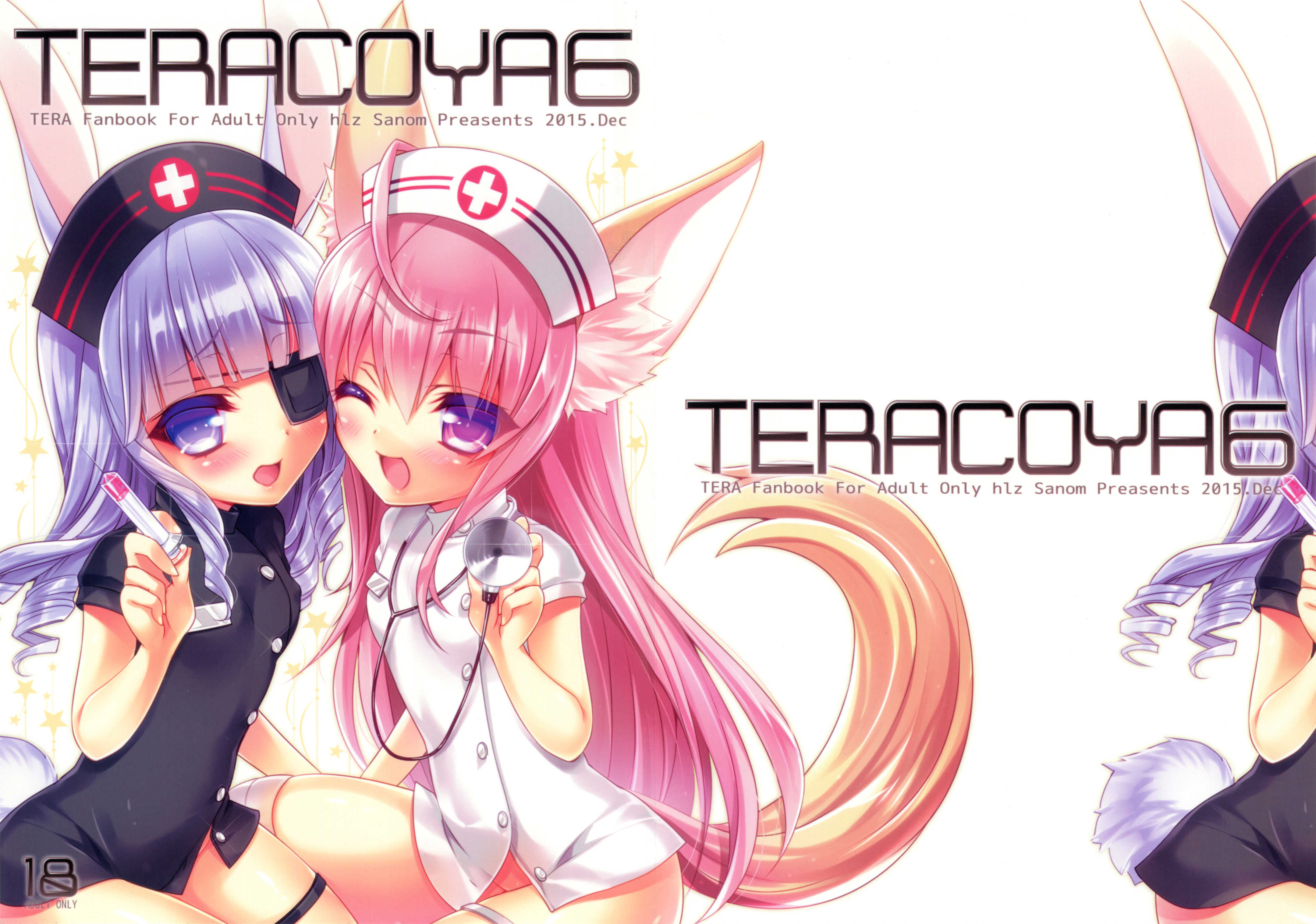 TERACOYA6 page 2 full