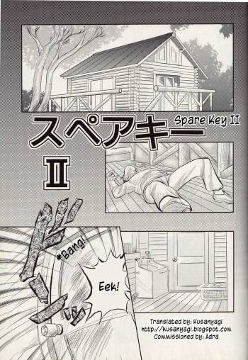 Spare Key 2 cover