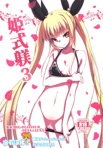 Hime-shiki Shitsuke 3 cover