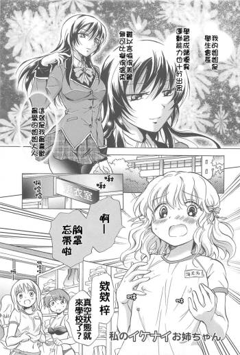 私のイケナイお姉ちゃん cover