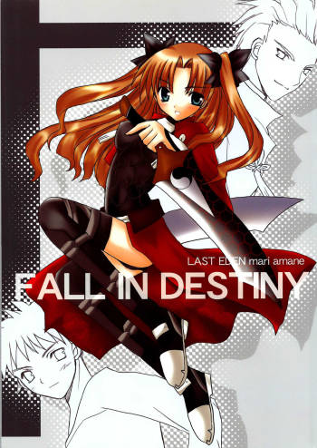 FALL IN DESTINY「fate」 cover