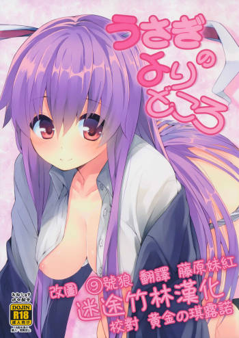 Usagi no Yoridokoro cover