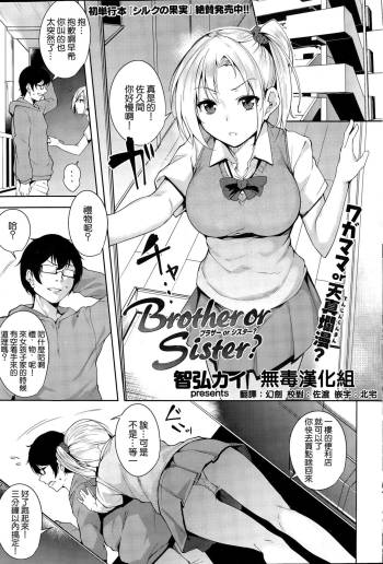 Brother or Sister? cover