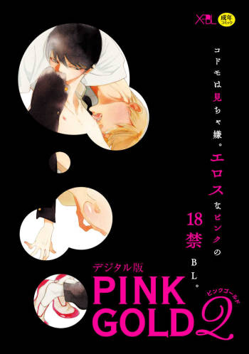 Pink Gold 2 cover