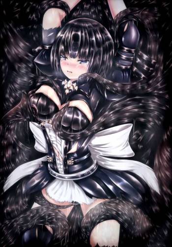 Shadowverse no Hon cover