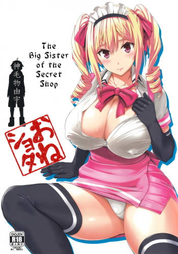 Mayoiga no Onee-san | The Big Sister of the Secret Shop cover