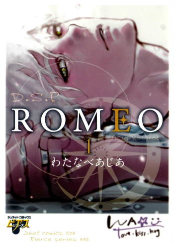 D.S.P Romeo cover
