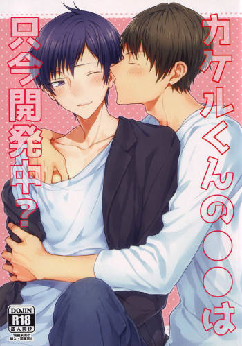 Kakeru-kun no xx wa Shinkon Kaihatsuchuu? cover
