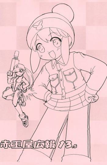 Akadamaya Kouhou 13.5 cover