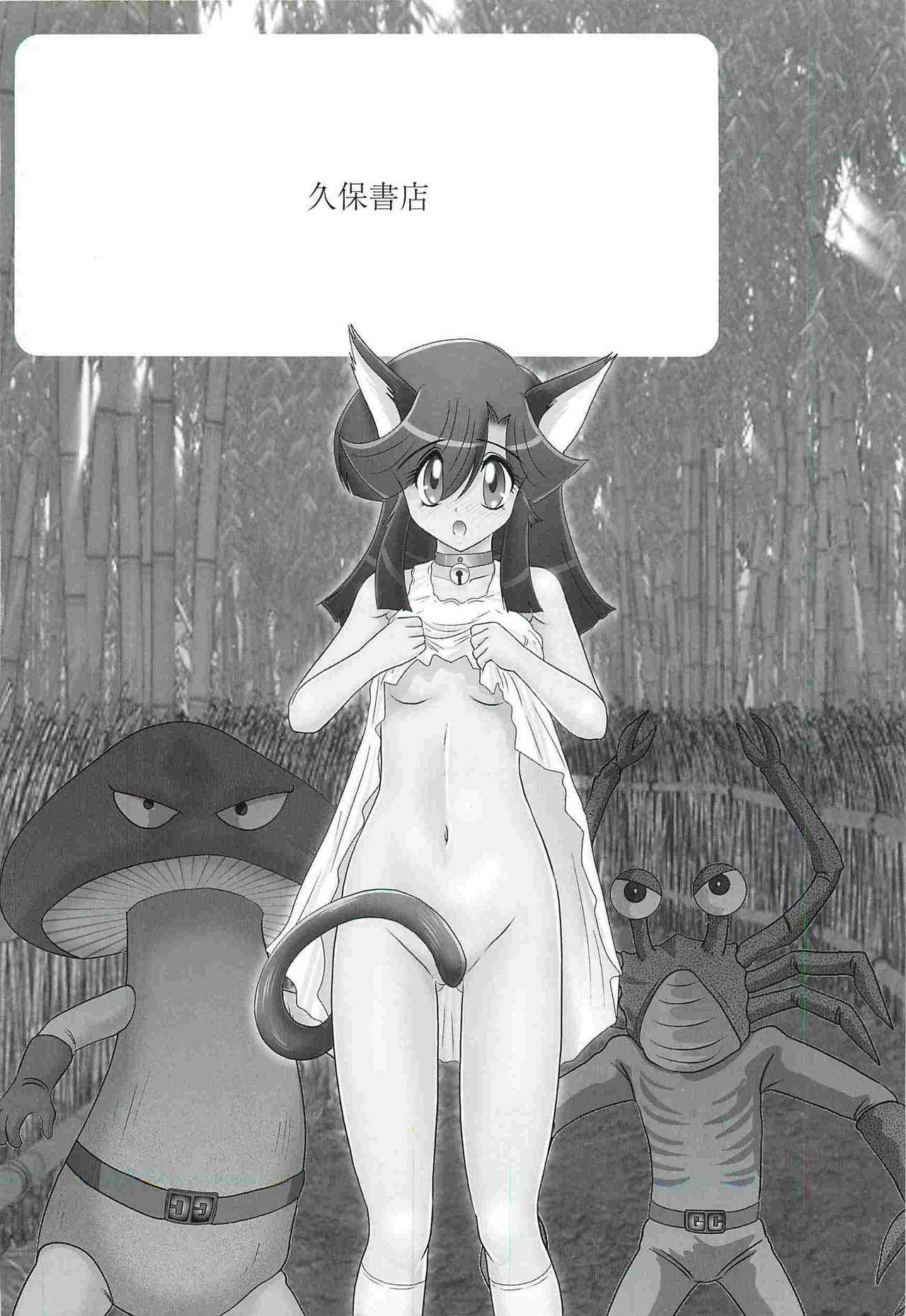 Seirei Tokusou Fairy Saber W - Shojo Kari page 4 full