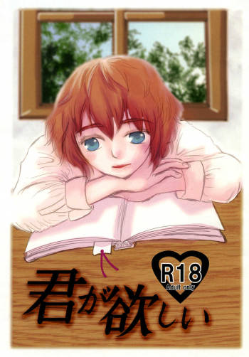 Kimi ga hoshii cover