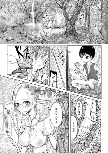 Elf-mura Gikai Koushiki Shibo Sei Manual cover