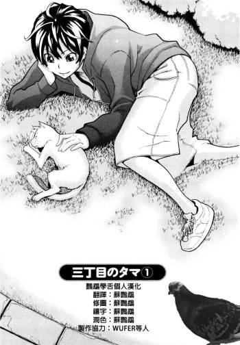 Sanchoume no Tama | Tama from Third Street Ch. 1 cover