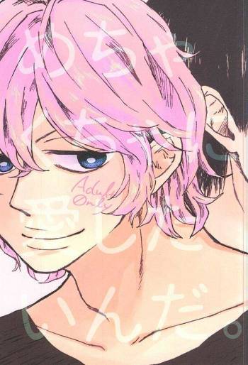 めちゃくちゃに愛したいんだ。 cover