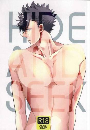 HIDE AND SEEK cover