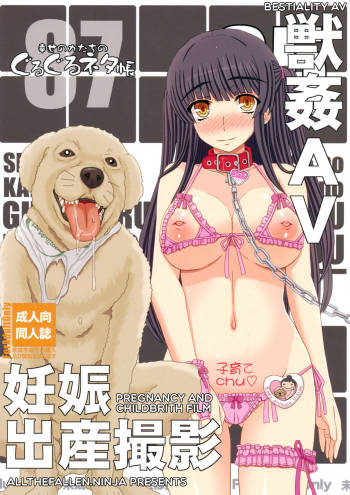 Shiawase no Katachi no Guruguru Netachou 87 Juukan AV Ninshin Shuusan Satsuei cover