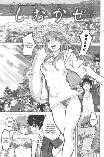 Shiokaze cover