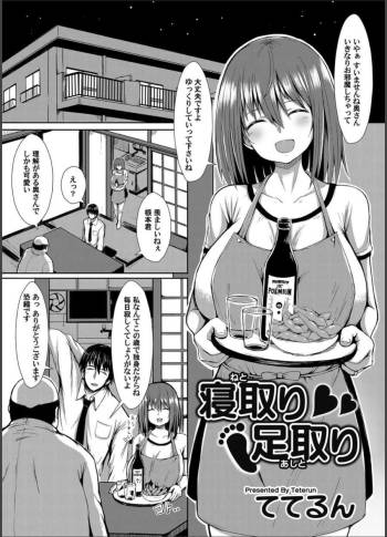 Netori Ashidori cover