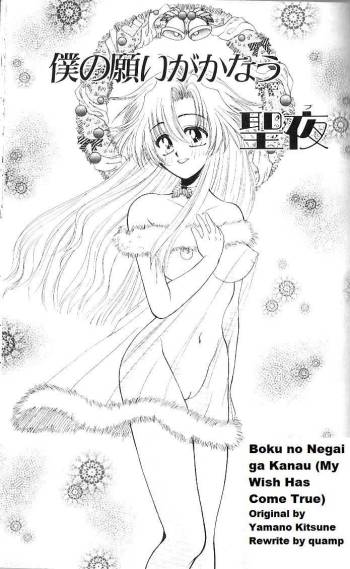 Boku No Negai ga Kanau My Wish Has come True, rewrite cover